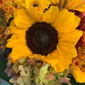 Meet your Posher, Alanna